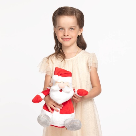 Подарок «Дед Мороз» 300г Люкс ПТЗ-39мл